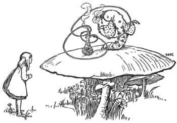 Alice speaking with the Caterpillar