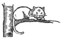 Cheshire Cat Best Alice in Wonderland Quotes