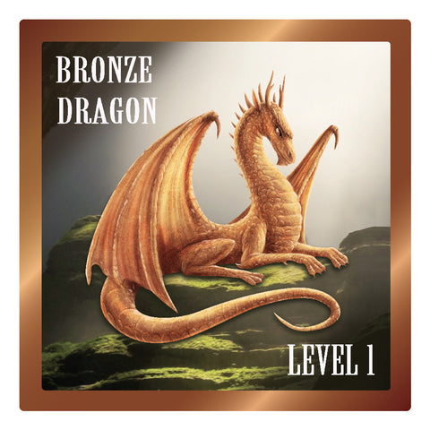 Level 1 Bronze Dragon