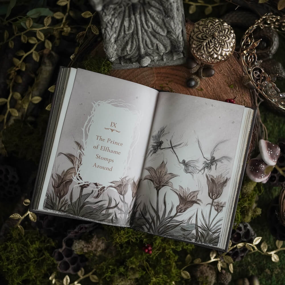 Tip-in art for The Cruel Prince collection sold by LitJoy