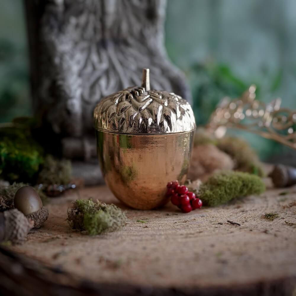 The Cruel Prince Golden Acorn sold by LitJoy