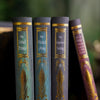 The Folk of the Air Box Set