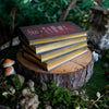 The Folk of the Air Box Set