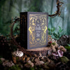 The Folk of the Air Box Set