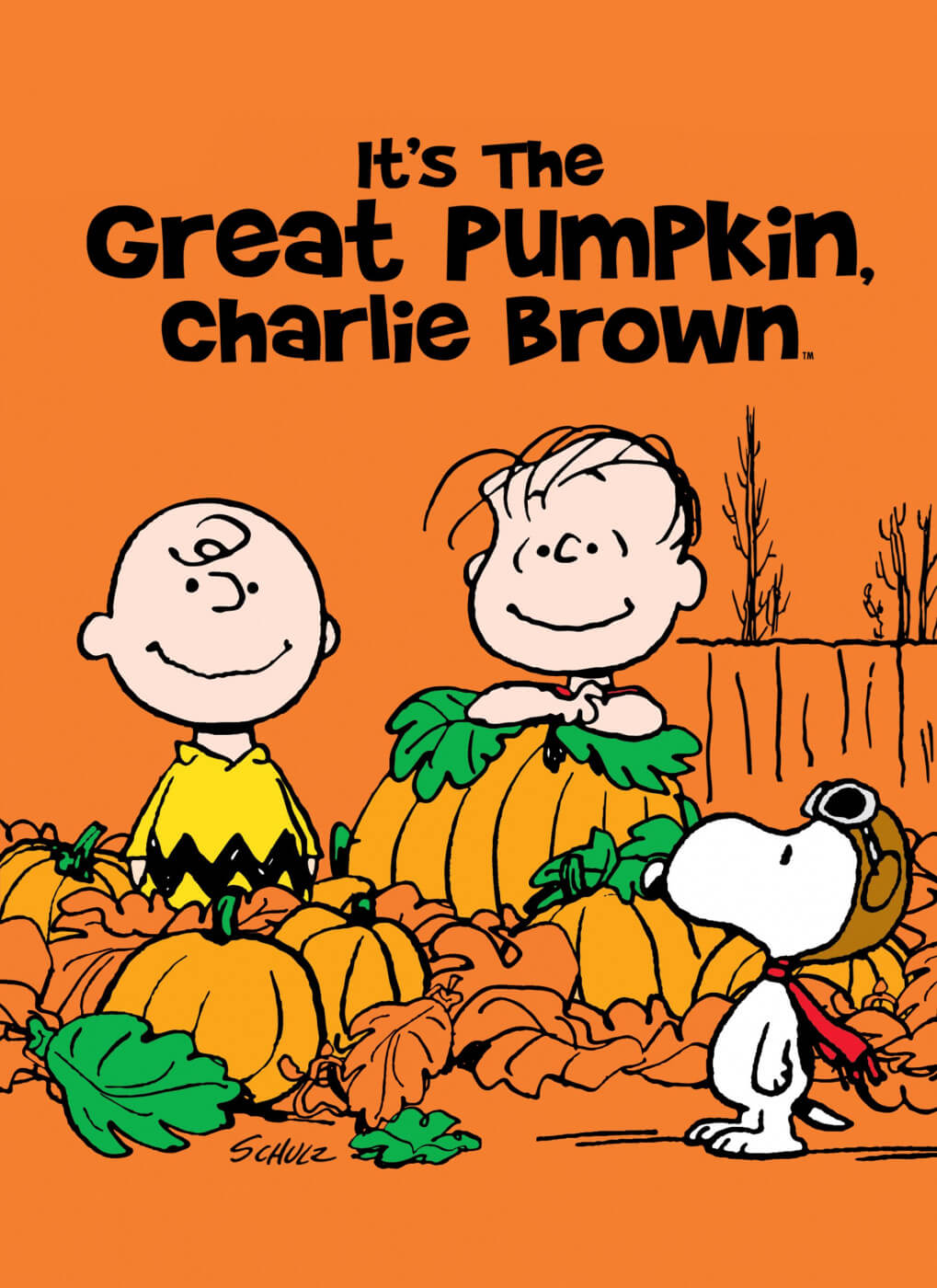 charlie brown halloween movie cover