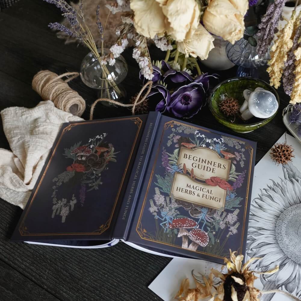 Beginners Guide to Herb and Fungi Notebook sold by LitJoy