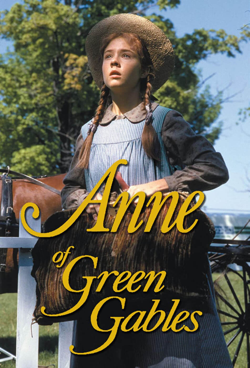 1985 Anne of Green Gables poster