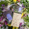 The Secret Garden LitJoy Classic