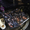The Picture of Dorian Gray LitJoy Classic