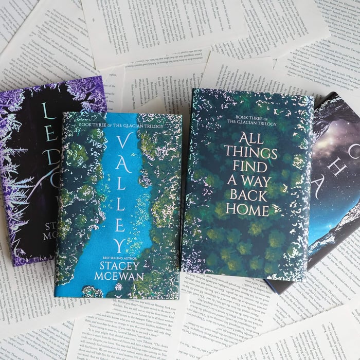 Valley by Stacey McEwan LitJoy Special Edition