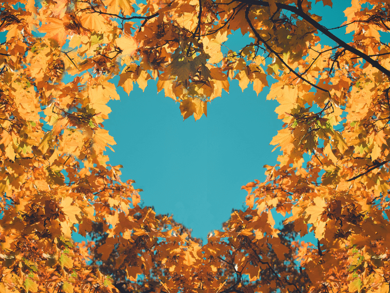 fall leaves creating a heart outline in the sky boarder the image for bookmarked september