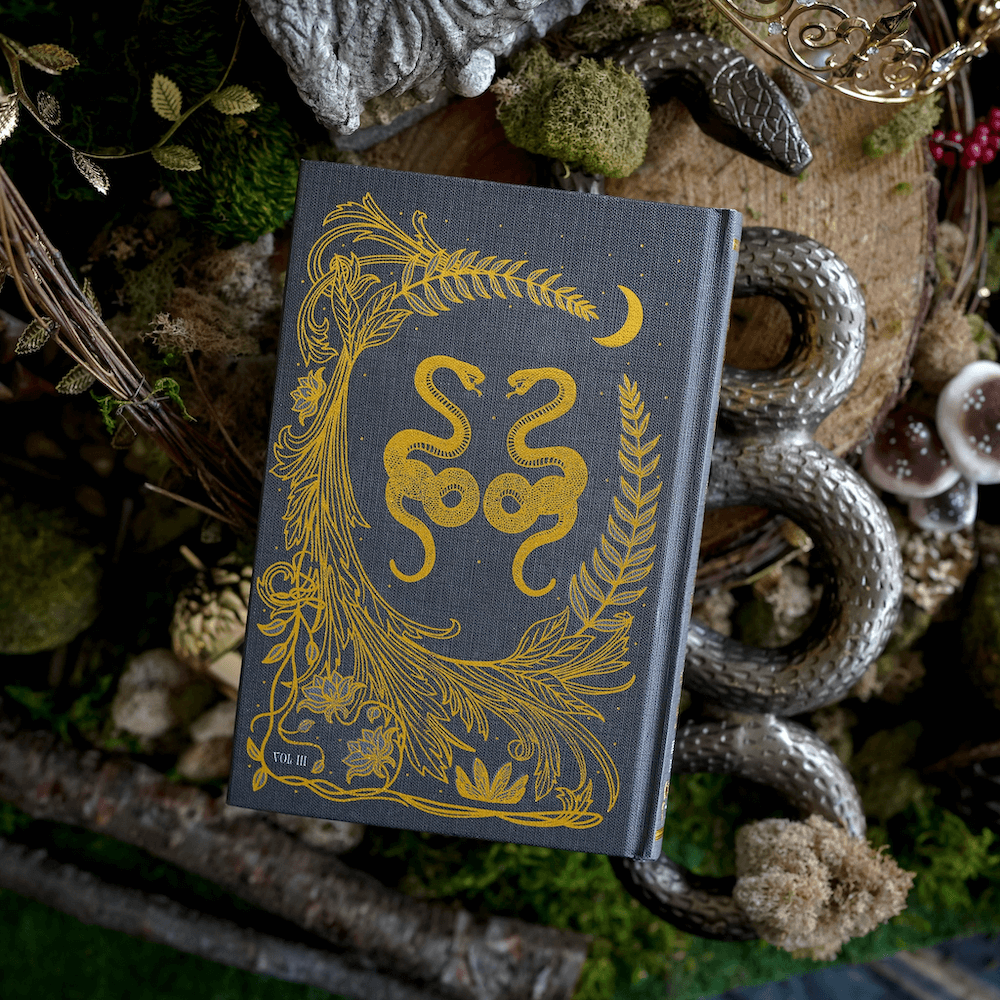 Back cover of The Queen of Nothing from FOTA box set sold by LitJoy Crate