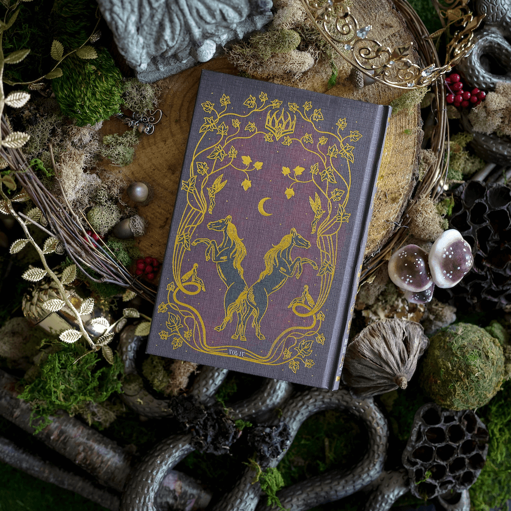 Back cover of How the King of Elfhame Learned to Hate Stories from FOTA box set sold by LitJoy