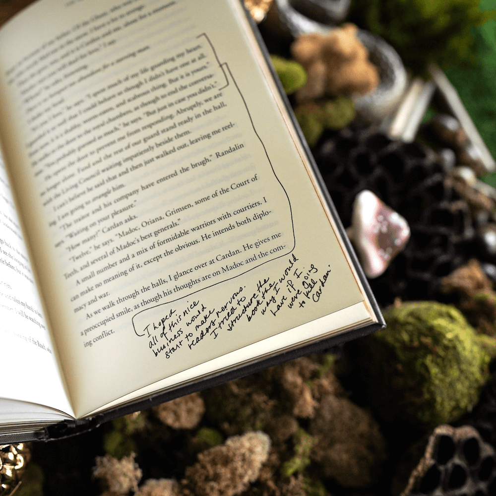 annotations by Holly Black in the Folk of the Air Special Edition Box Set sold by LitJoy