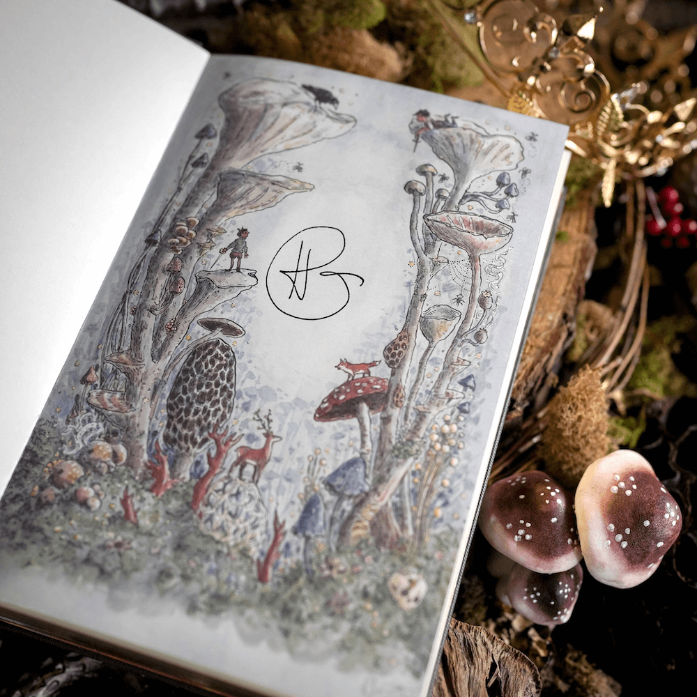 Signature page in the FOTA Special Edition Box Set sold by LitJoy Crate