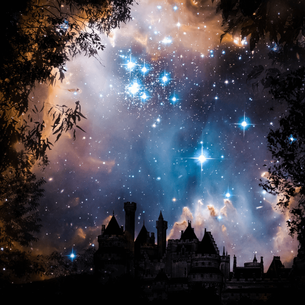 Fantasy genre setting with castle silhouette against trees and a starry night sky