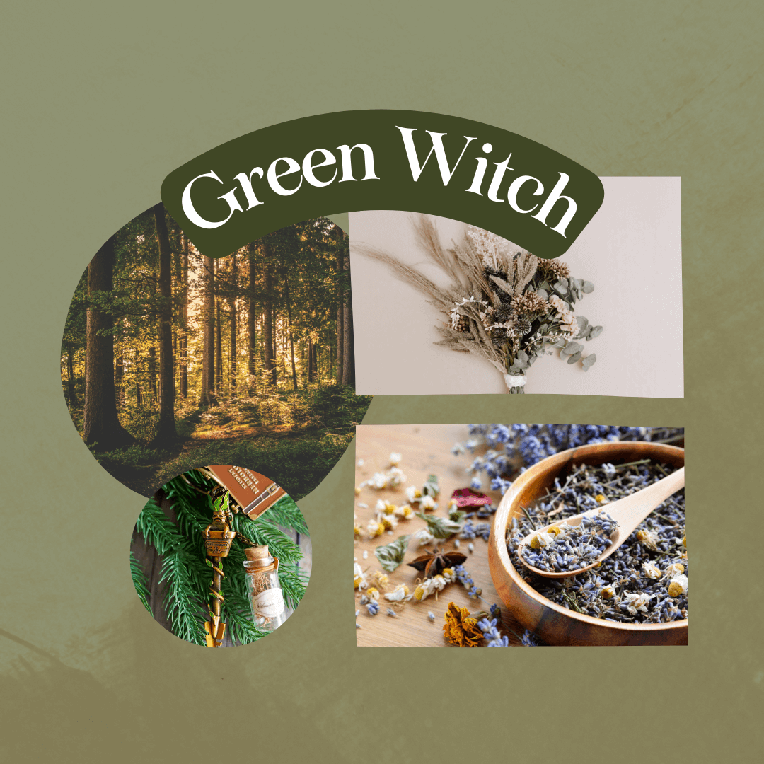 Green Witch images: herbs, trees in the forest, Herbology Key sold by LitJoy