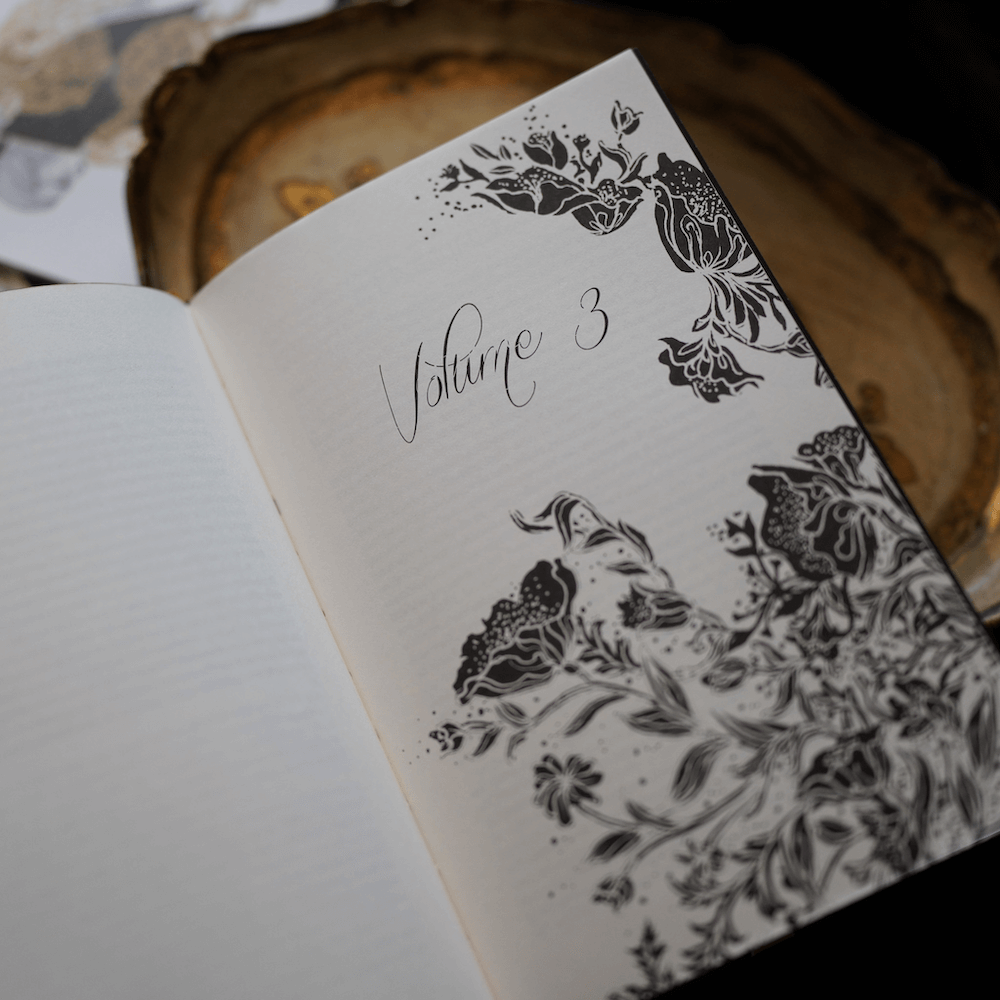 LitJoy Classics Pride and Prejudice volume 3 page divider